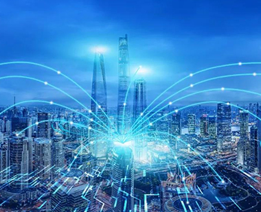 Release of three-year action plan for improving the quality of raw material industry